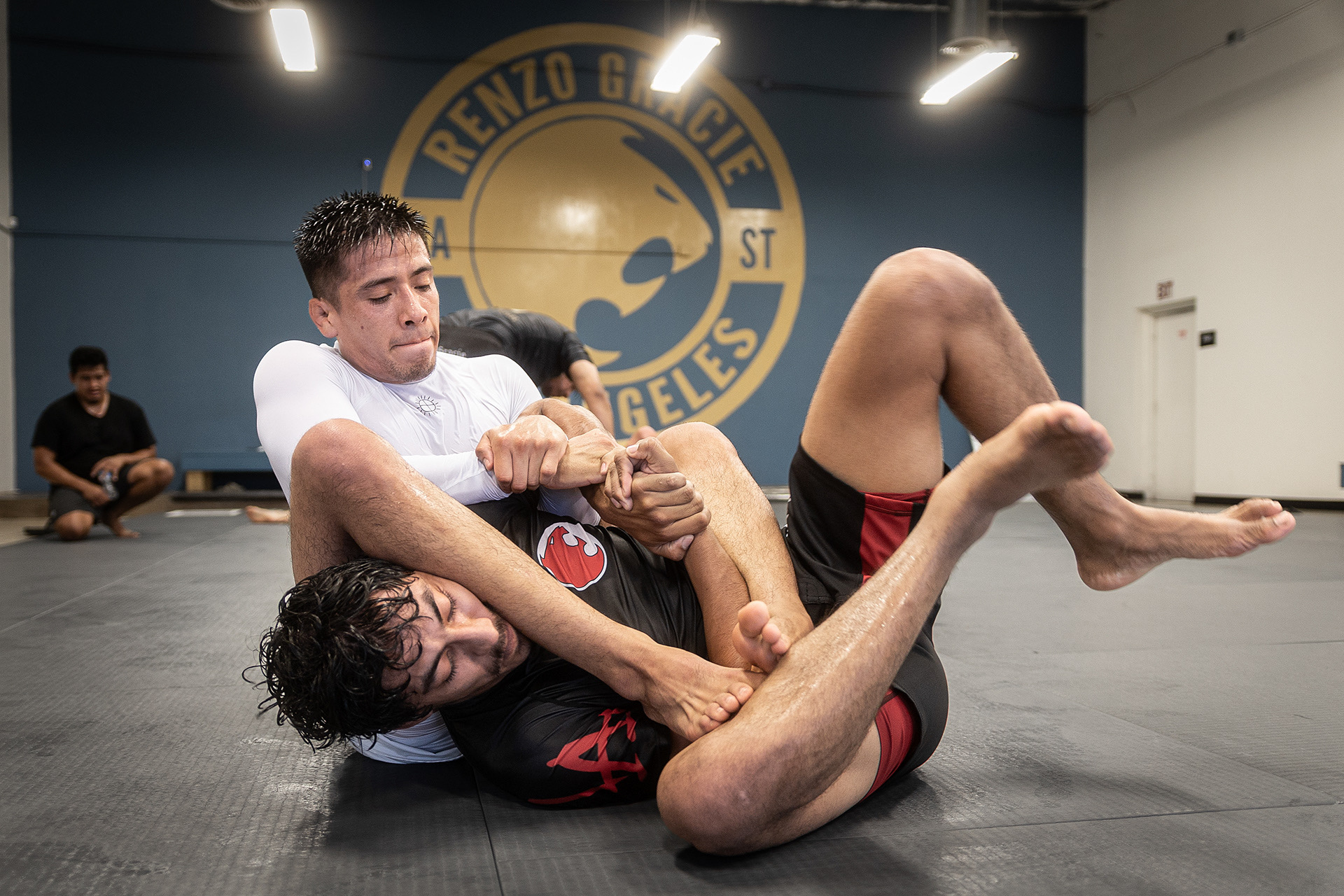 Brazilian Jiu Jitsu